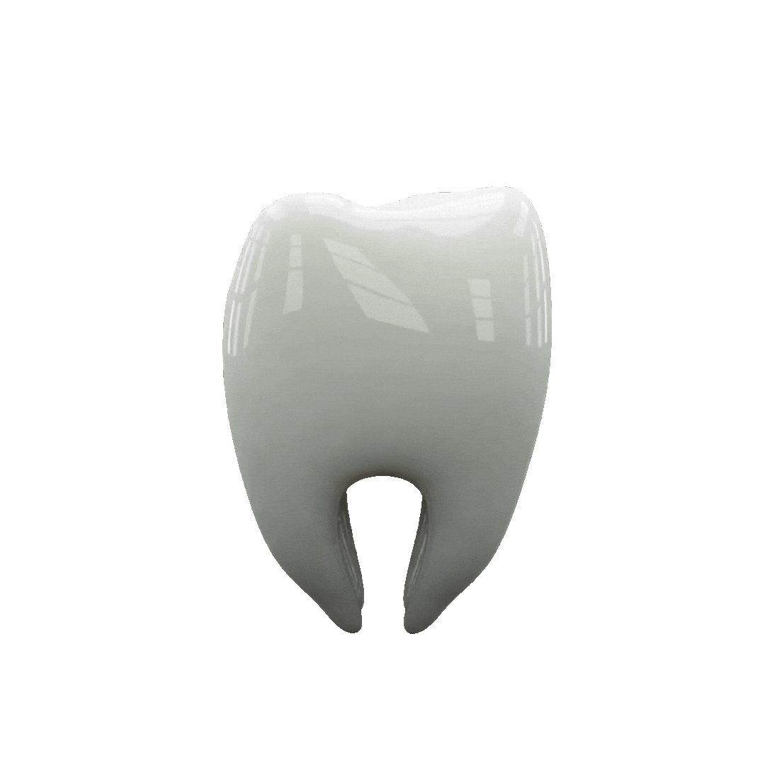 Why Choose Us Animation